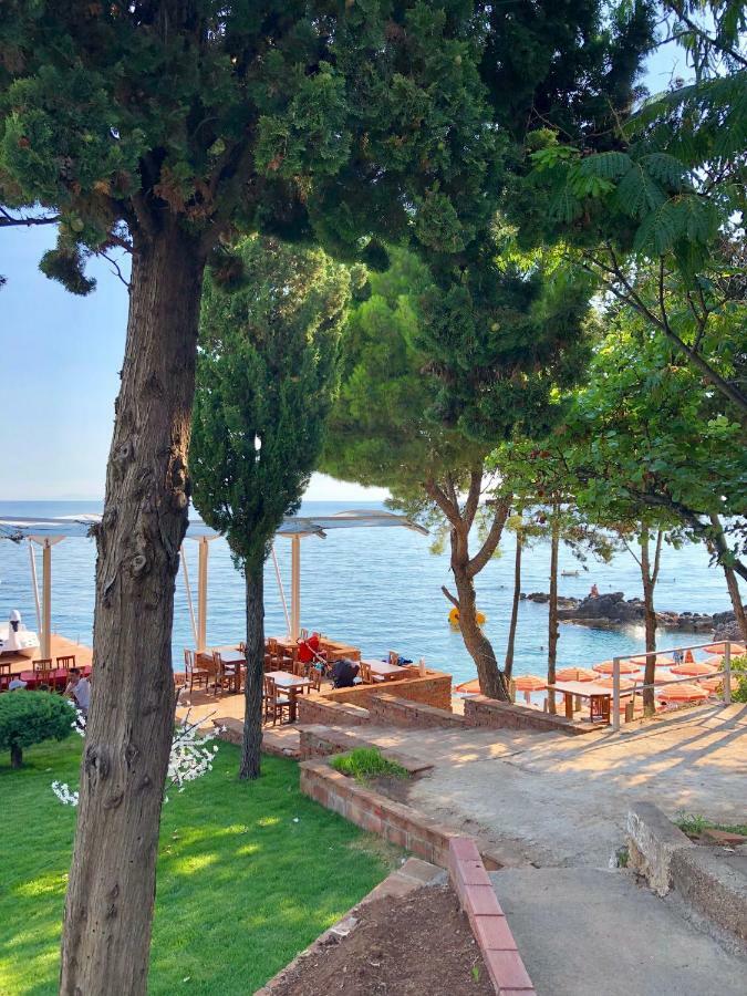 Queen Vasilika Otel Dhërmi Dış mekan fotoğraf